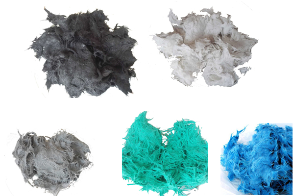 1555058924301695.jpg 插圖.jpg